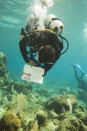 Collecting data underwater
